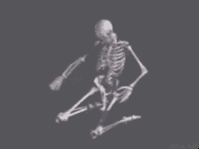 Boner Skeleton GIF - Boner Skeleton Bone GIFs