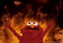 Burn In Hell Elmo GIF - Burn In Hell Elmo Fire GIFs