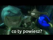 Nemo Rekiny GIF - Nemo Rekiny Co Ty Powiesz GIFs