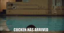 Cocken Token GIF - Cocken Token Rapper GIFs