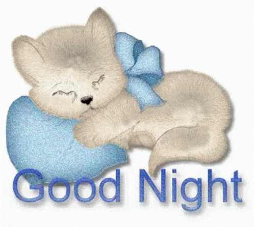 Bed Time,Good Night,hug,cute,glittery,kitten,gif,animated gif,gifs,meme.