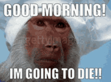 Good Morning Im Going To Die GIF - Good Morning Im Going To Die Monke GIFs
