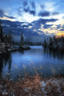 nature river lake nature river lake