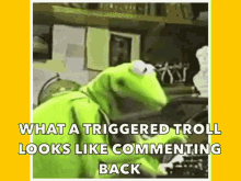 Triggered Troll GIF - Triggered Troll Commenting Back GIFs