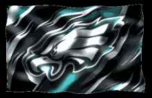 Eagles Flag GIF - Eagles Flag Windy GIFs