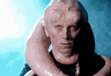 fortuna bib