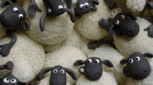 Flock Sheep GIF - Flock Sheep Crowded GIFs
