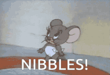 Feed Me Mouse GIF - Feed Me Mouse Hungry GIFs
