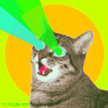 Cat Lazer GIF - Cat Lazer Laser Eyes GIFs
