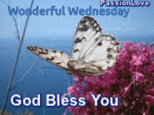 wonderful wednesday god bless you butterfly