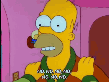 No Homer Simpson GIF - No Homer Simpson The Simpsons GIFs