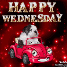 Happy Wednesday Dog GIF - Happy Wednesday Dog Cute GIFs