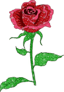 Rosa Rose GIF - Rosa Rose Flower GIFs