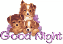 good night dog puppy smile sparkle