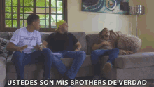 amigos parceros