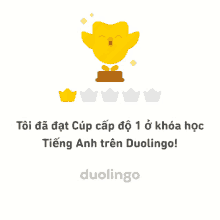 Duolingo Duolingo Cup GIF - Duolingo Duolingo Cup GIFs