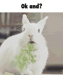 ok and rabbit