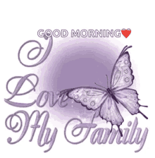 butterfly family