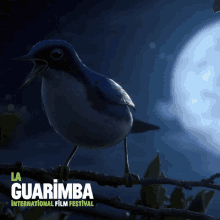 happy animation night moon bird