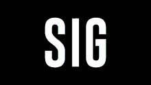 Sig Glitch GIF - Sig Glitch Gif GIFs