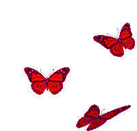 Butterfly Transparent GIFs | Tenor