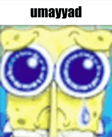 whitelonia spunch bop spongebob spongebob meme meme