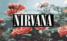 Nirvana GIF - Nirvana GIFs