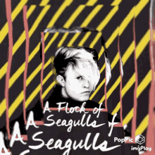 A Flock Of Seagulls Mike Score GIF - A Flock Of Seagulls Mike Score Seagulls GIFs
