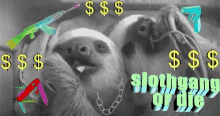 Sloth Swag GIF - Sloth Swag Chill GIFs