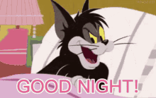 Night Night Tom And Jerry GIF - Night Night Tom And Jerry Goodnight GIFs