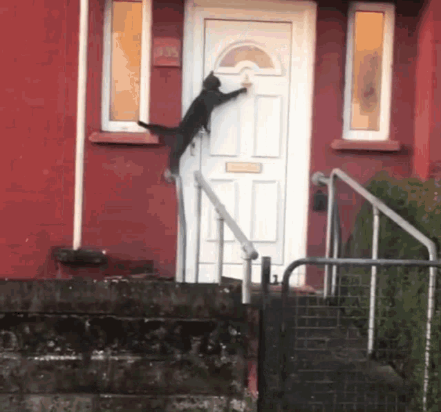 [Image: knock-knock-cat-knock-door.gif]