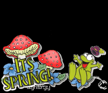 frogs spring