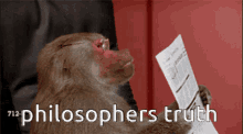Philosophers Truth Discord GIF - Philosophers Truth Discord Intellectual Monkey GIFs