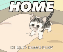 home cat anime