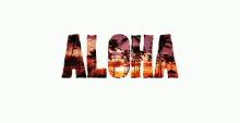Aloha GIF - Text Gifs Aloha Hi GIFs