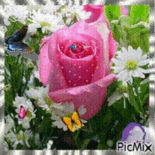 Pink Rose Flowers GIF - Pink Rose Rose Flowers GIFs
