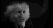 Breasts Monkey GIF - Breasts Monkey David Lynch GIFs