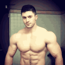 muscles marcio