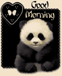Panda Good Morning GIF - Panda Good Morning GIFs