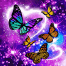 Butterfly Social GIF - Butterfly Social GIFs
