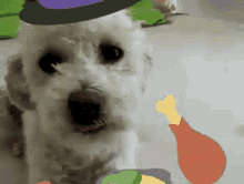 Dogs Hungry GIF - Dogs Dog Hungry GIFs