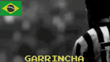 Garrincha Brazil GIF - Garrincha Brazil Brazilian Football GIFs