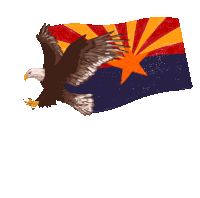 Eagle Arizona Eagle Sticker - Eagle Arizona Eagle Arizona Flag Stickers
