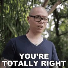 Youre Totally Right Chris Cantada GIF - Youre Totally Right Chris Cantada Chris Cantada Force GIFs