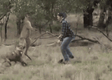 awkward kangaroo punch