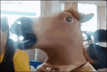 Horse Doge GIF - Horse Doge Surprise GIFs
