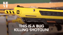 This Is A Bug Killing Gun Gun GIF - This Is A Bug Killing Gun Gun Shotgun GIFs