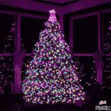 christmas tree countdown lights beautiful