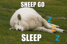 Sheep Go Brrr GIF - Sheep Go Brrr Sheep Go Sleep GIFs