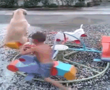Faster, Human! GIF - Dogs Cute Carousel GIFs